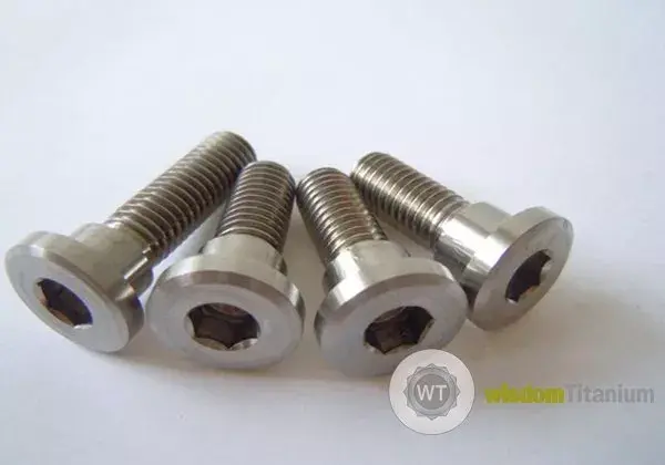 Kawasaki Titanium Rotor Bolt M81.2530.jpg